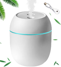 Humidifier 