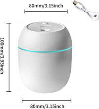 Humidifier 